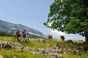 Radtour ins Rohrmoos (© Tourismus Oberstdorf)